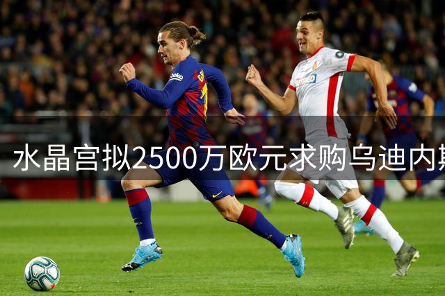 水晶宫拟2500万欧元求购乌迪内斯后卫索勒
